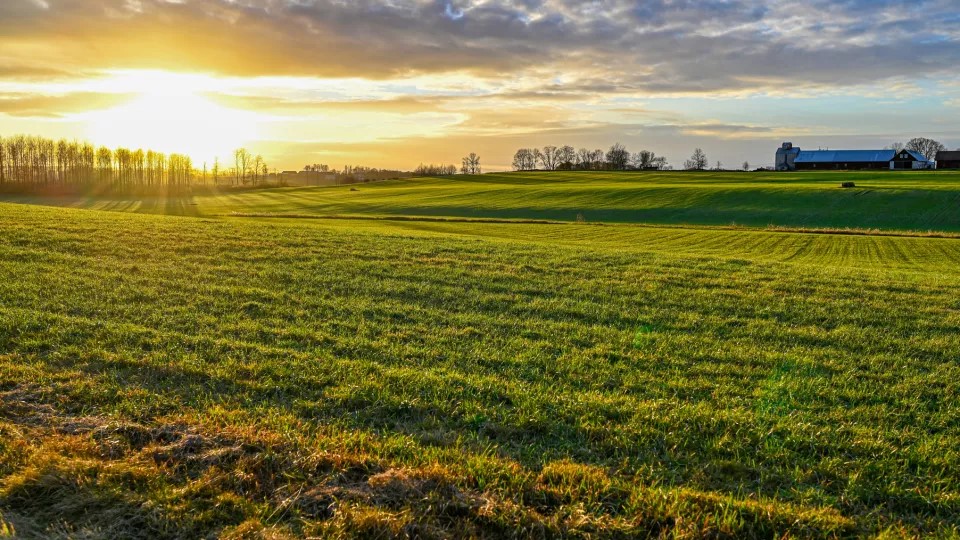 Foto på åker i solnedgång eller soluppgång. Foto: MostPhotos.