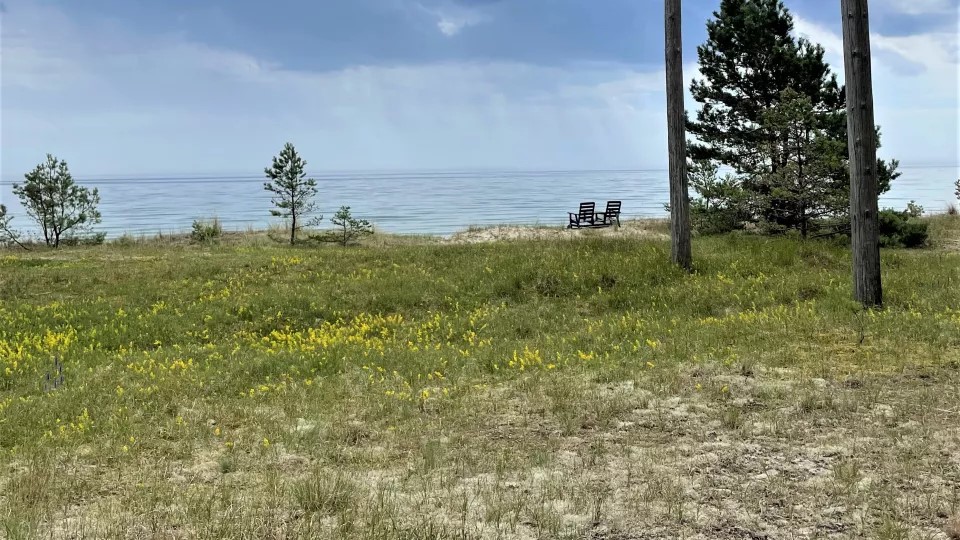 Kustlinjen sedd från övre delen av strandkanten med växtlighet i förgrunden och hav och moln i bakgrunden. Foto.