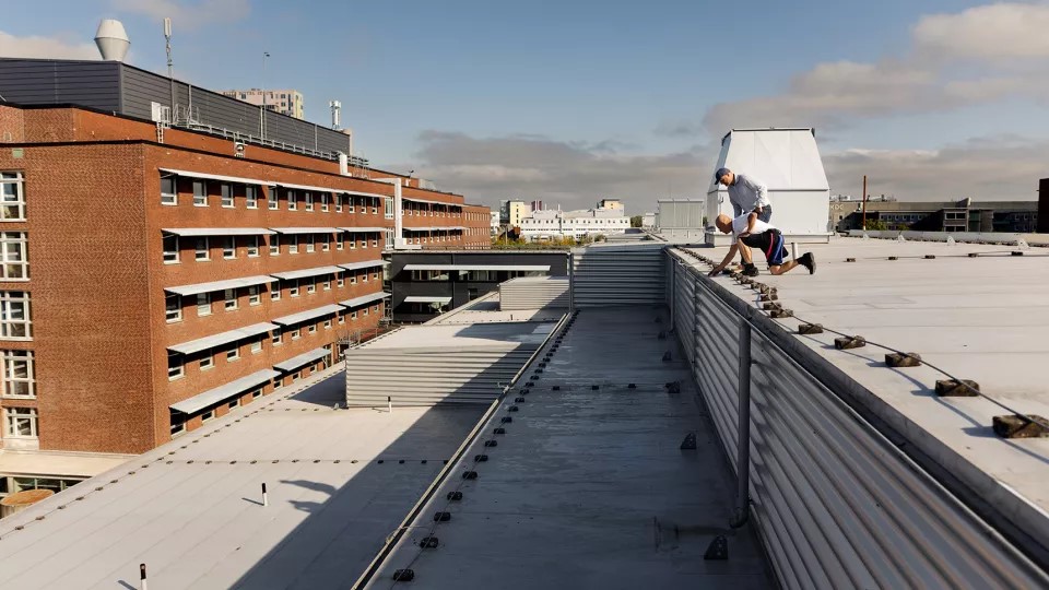 Två män på ett tak. Foto: Jenny Leyman