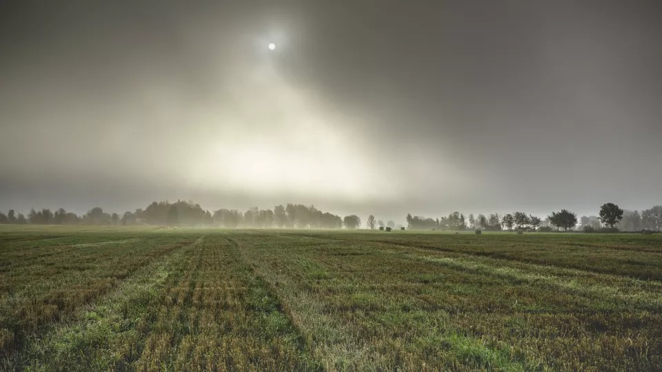 Foto på åker i dimma. Foto: MostPhotos.