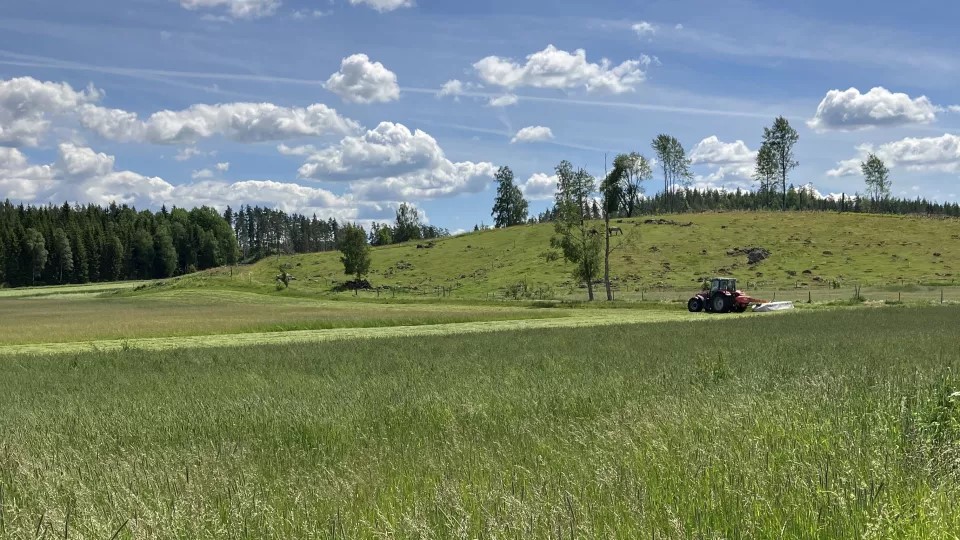 Landskap med vallodling. Foto: Josefin Winberg.