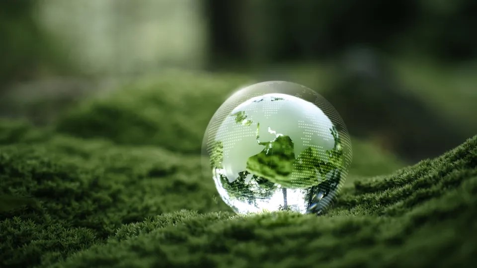 Kristallklotglas på grön mossa i skogen för att skydda naturen, fotografi. Foto: iStock