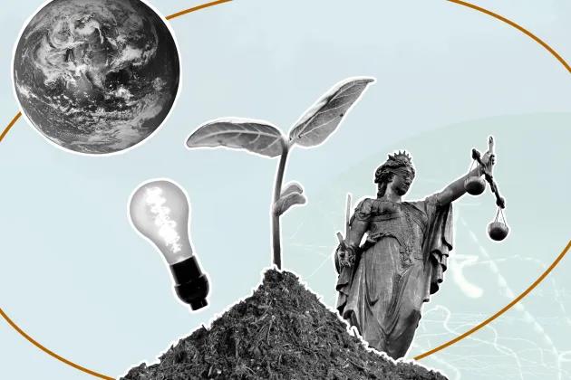 A globe, a lightbulb, a plant, Justicia. Light blue background. Collage of illustrations.