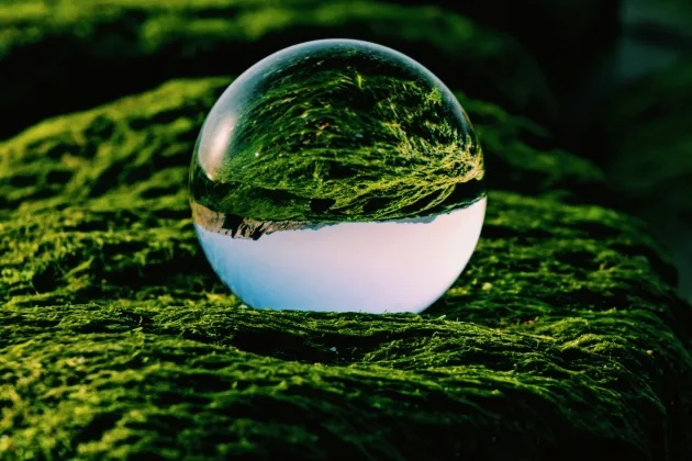 A drop of water reflecting the surrounding green landscape. Photo.