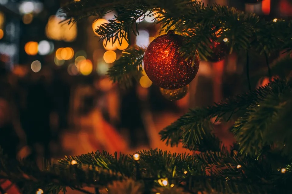 Röd julgranskula i en gran. Foto.