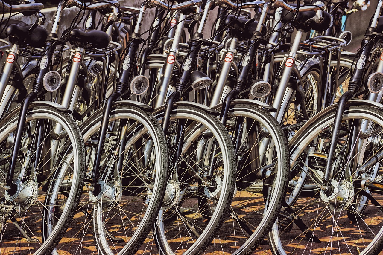 Många cyklar på rad. Foto: Pixabay.