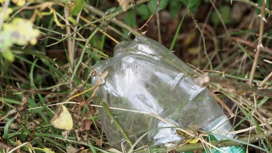 Photo of a plastic bottle left on the ground.