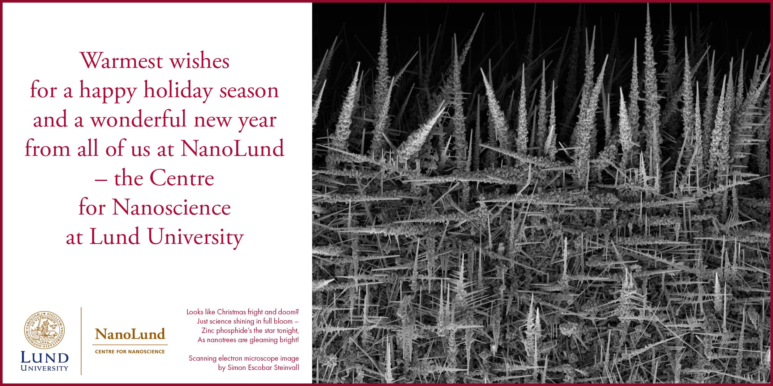 The NanoLund Christmas Card