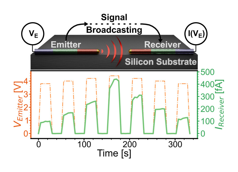Scientific illustration