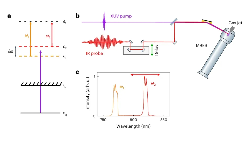 Illustration to a scientific publication.