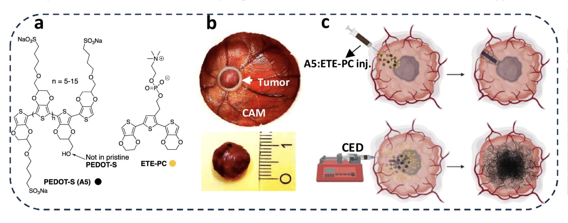 Scientific illustration.