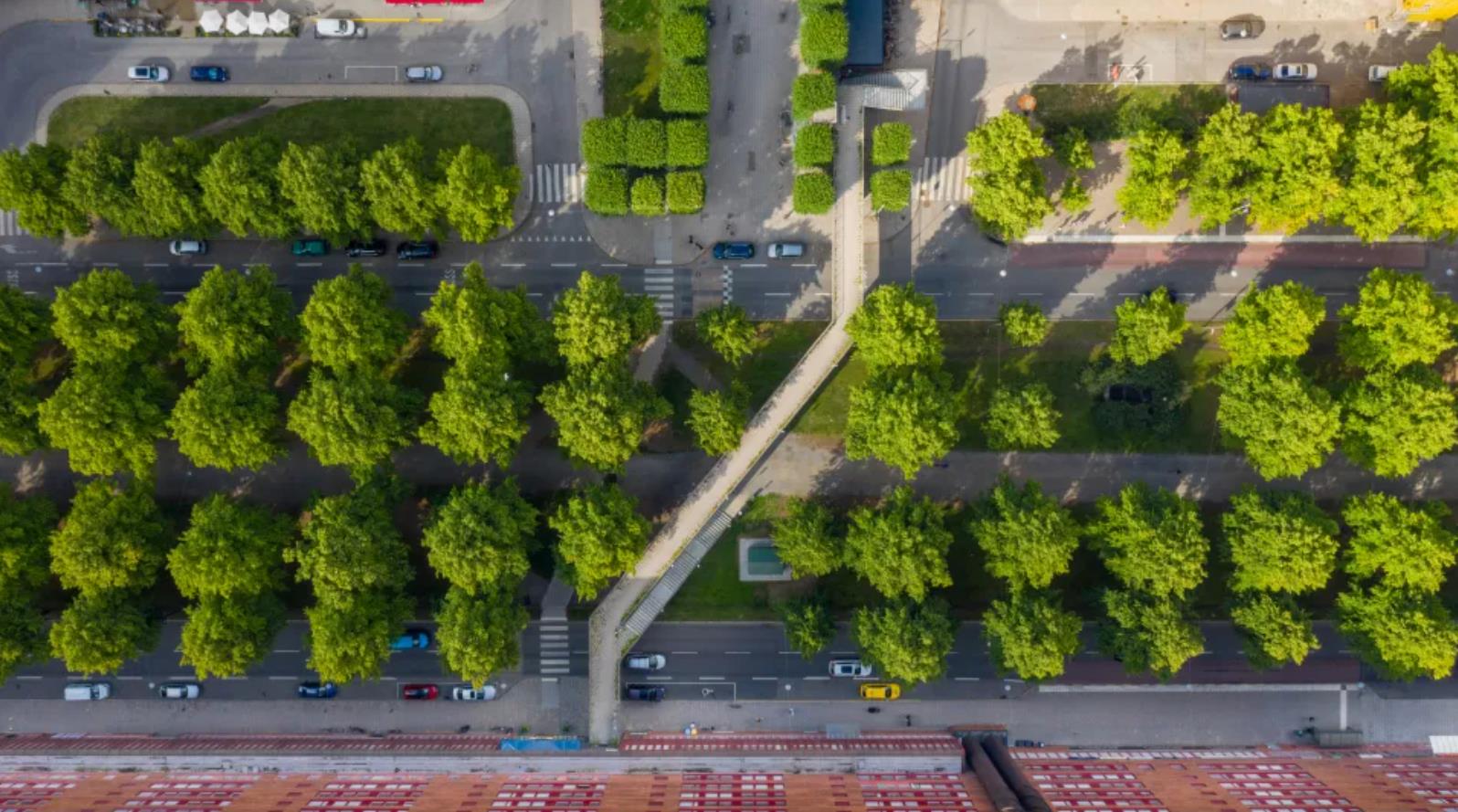 City from above.