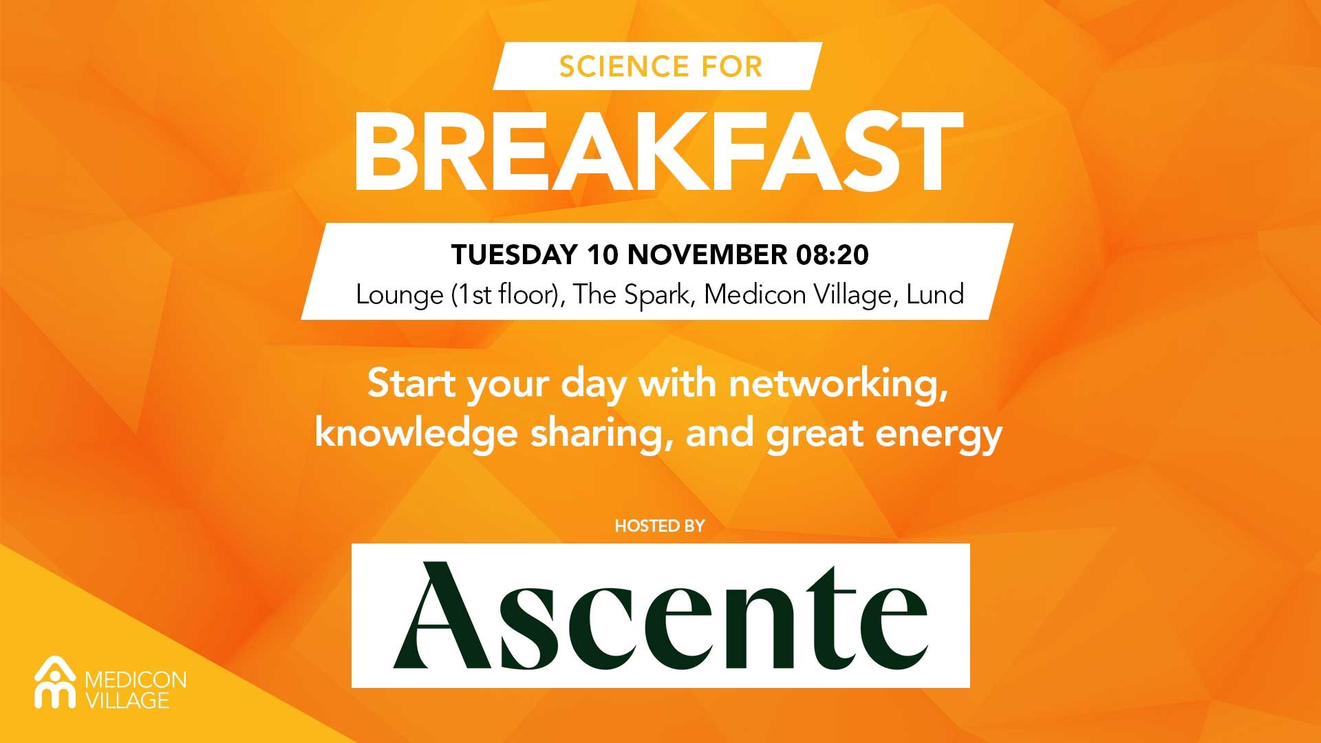 555 Breakfast banner Ascente