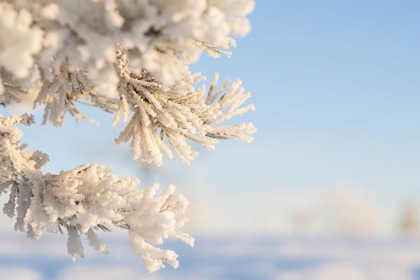 1188 Vinterbild nat97196