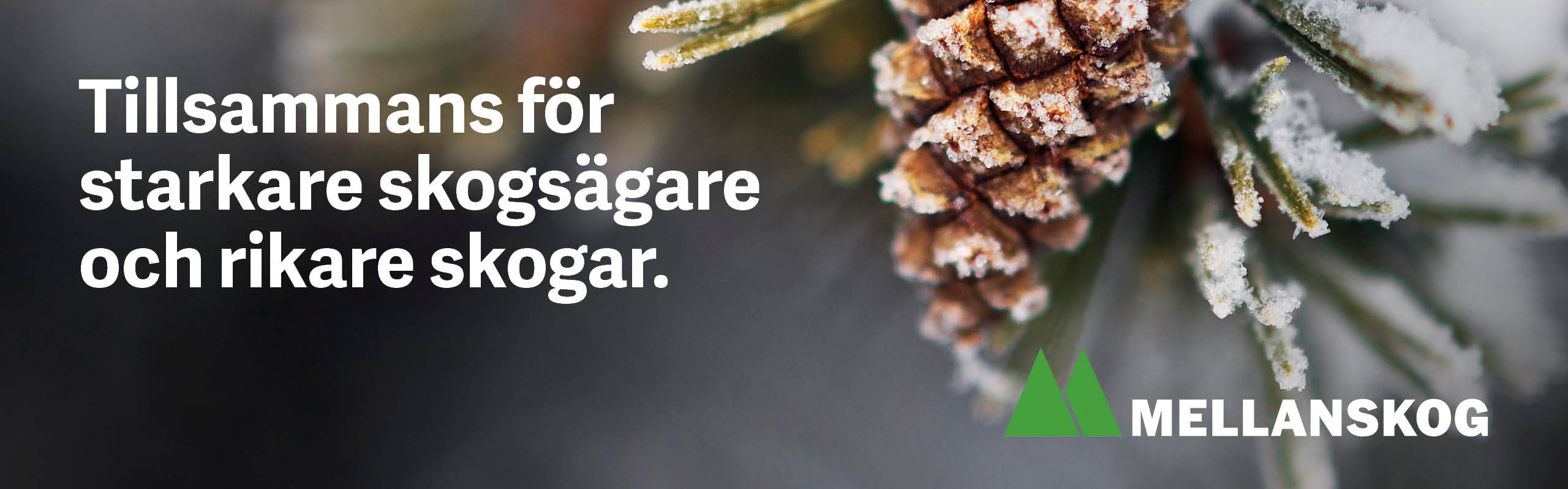 142 Headervinter2223