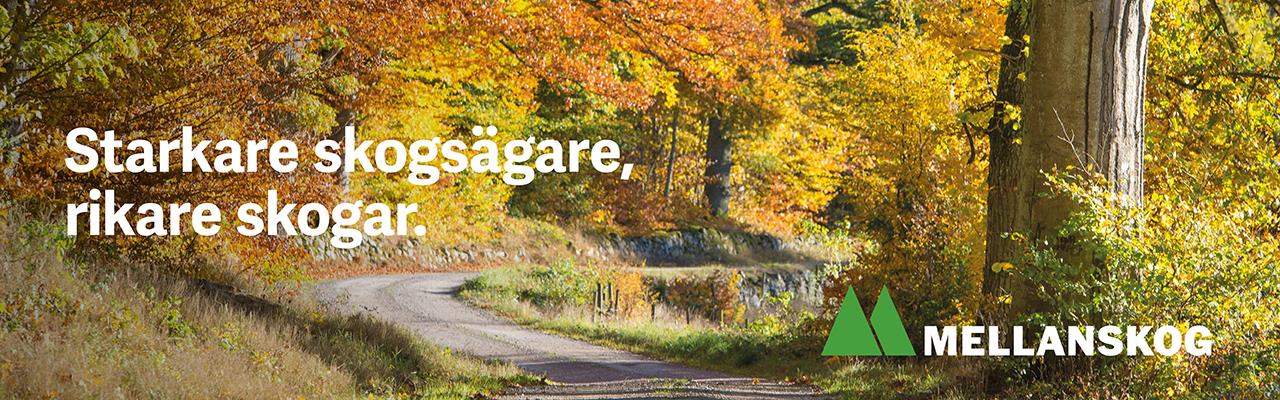 1534 Header h%c3%b6st