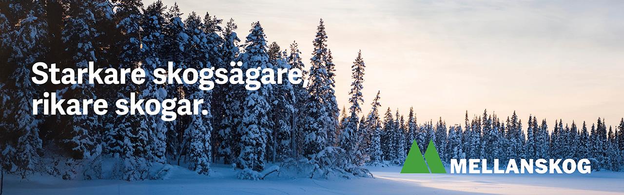 1537 Header nyhetsbrev vinter 23