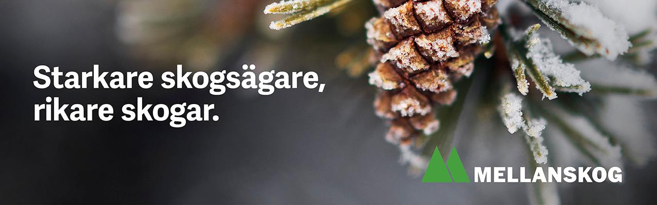 1538 Header nyhetsbrev vinterL