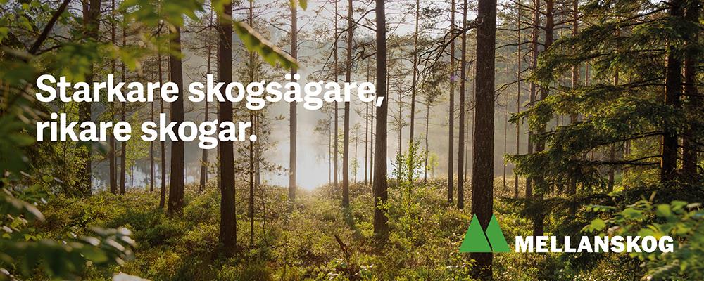 1598 Header v%C3%A5r