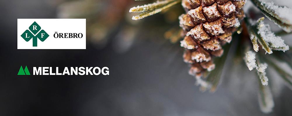 1739 Header LRF %C3%96rebro o Mellanskog