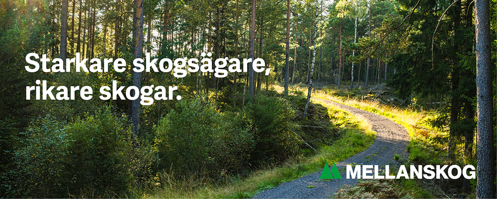1791 Header Skogsv%C3%A4g