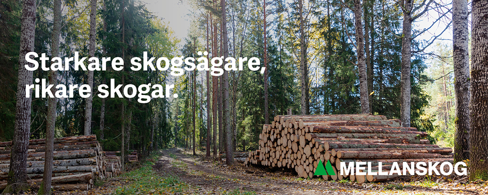 1792 Header Skog med virke