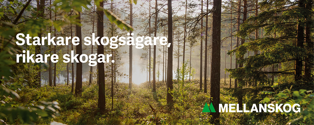 1798 Header h%C3%B6st