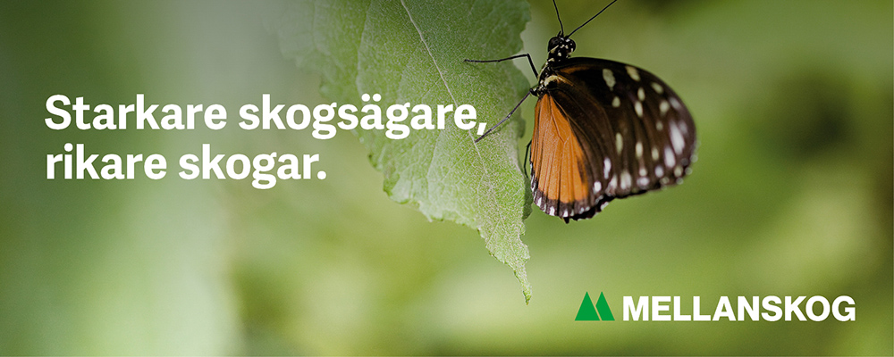 1803 Header Fj%C3%A4ril