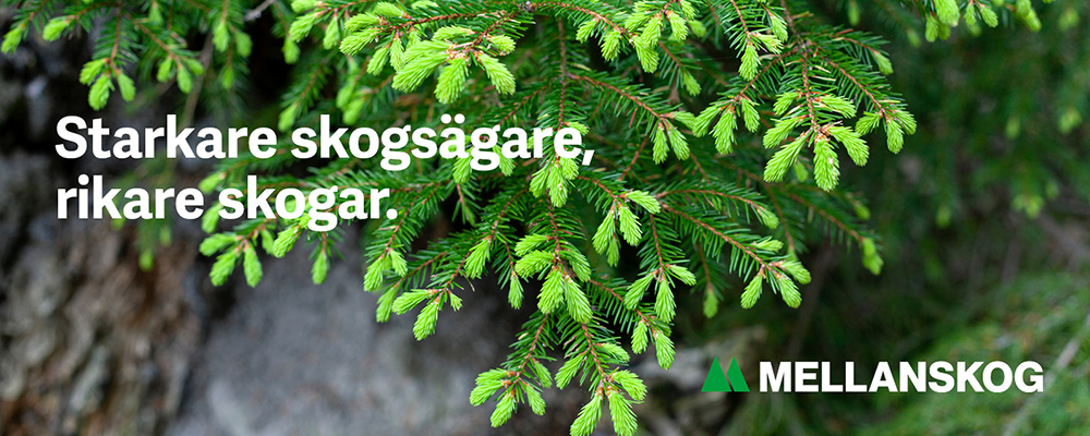 1804 Header Granskott 4