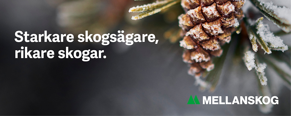 1806 Header Kotte