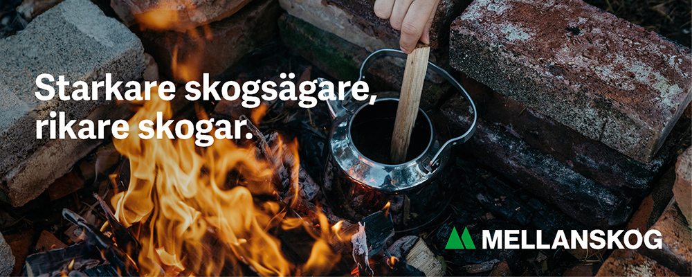 1807 Header Kaffe