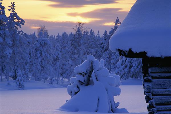 601 Timmerhus sn%c3%b6landskap