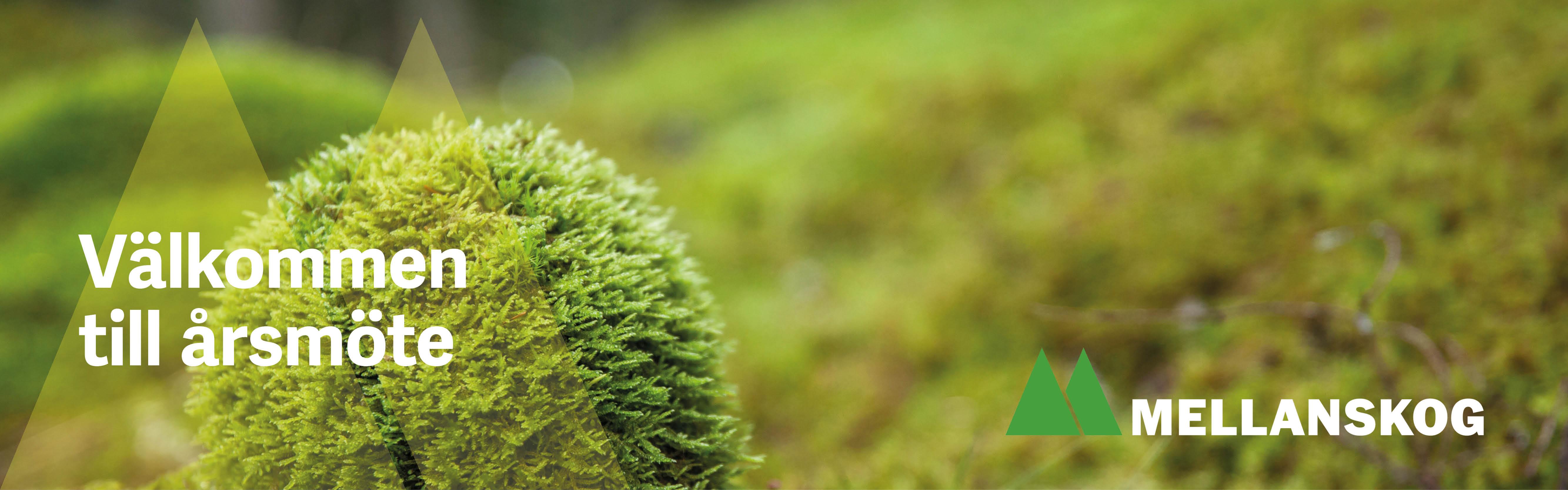 636 Header %C3%A5rsm%C3%B6te 2024