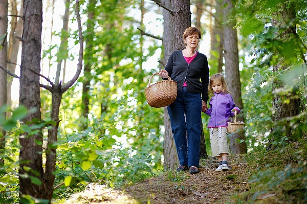 Grandmom walking in forest with a little girl