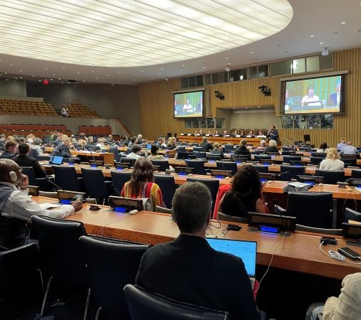 The Nordic side event at the UN COSP17 in New York on 11 June