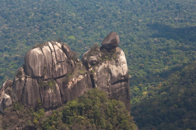 410 2006 07 Suriname 023 (1) edited    Photographer Russell A. Mittermeier%2c Ph.D %e2%80%93 medel