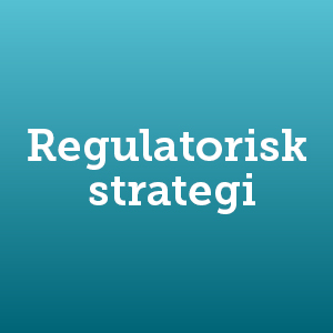 Regulatorisk strategi