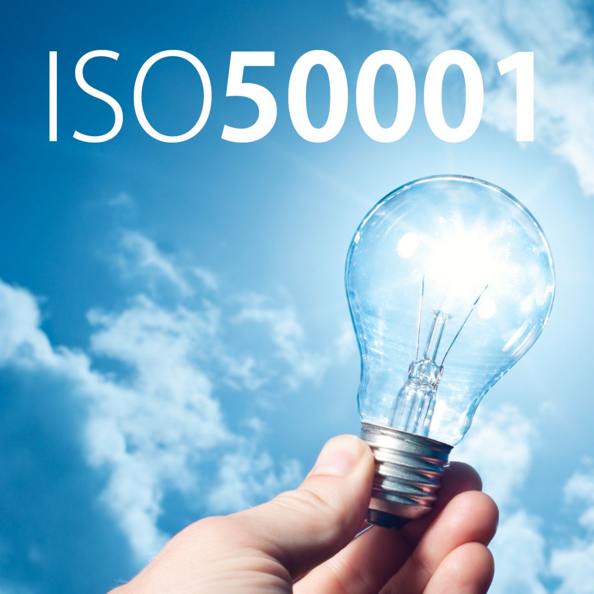 9381 ISO 50001 lampa