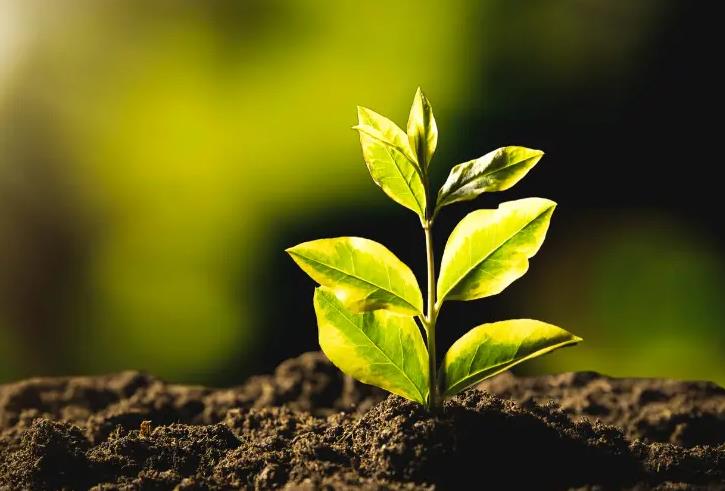 1672 workshop h%c3%a5llbarhet