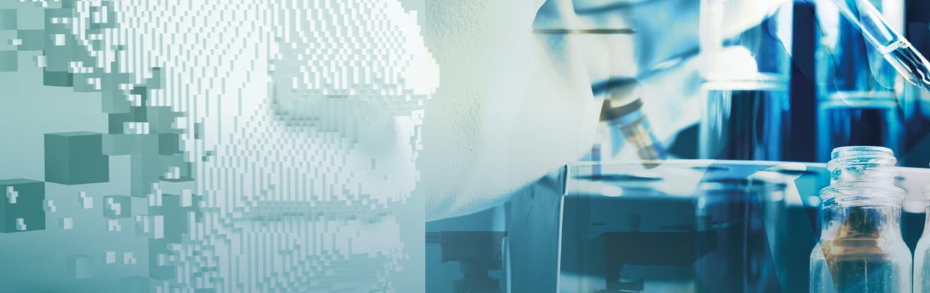 2165 at a glance px webbbilder senzagen2