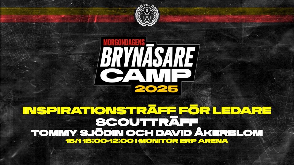 2902 Morgondagens Bryn%c3%a4sare   Inspirationstr%c3%a4ff f%c3%b6r ledare Scouttr%c3%a4ff