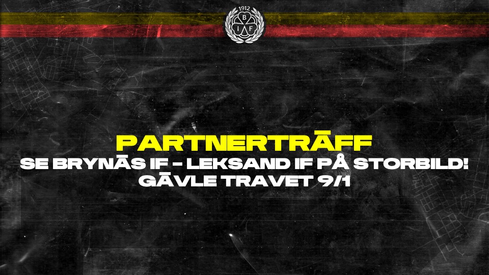 2904 Partnertr%c3%a4ff p%c3%a5 travet 9 e jan