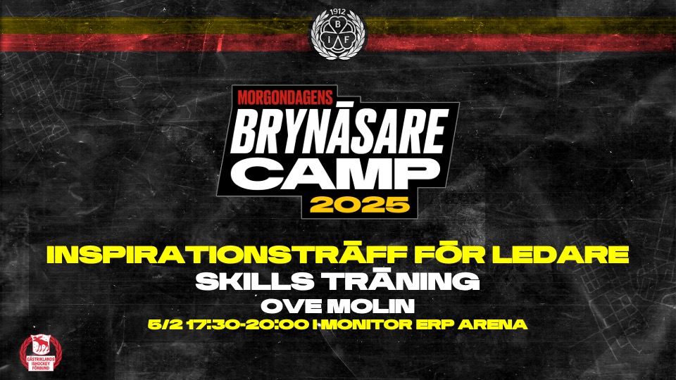 2925 Morgondagens Bryn%c3%a4sare   Inspirationstr%c3%a4ff f%c3%b6r ledare Skills Competition