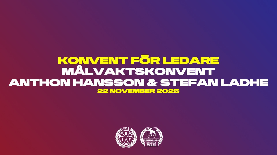 3179 GIF Morgondagens Bryna%cc%88sare 2025 Ma%cc%8alvaktskonvent