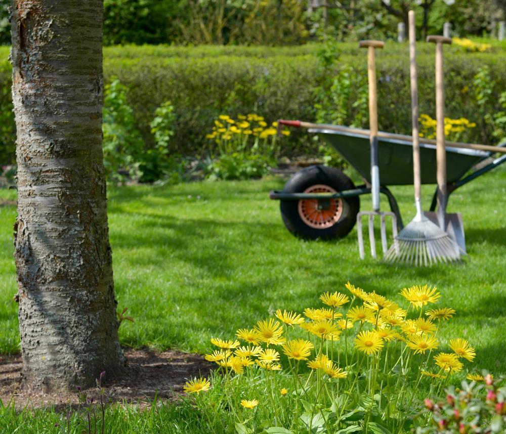 1002 Nyhetsbrev format %282%29