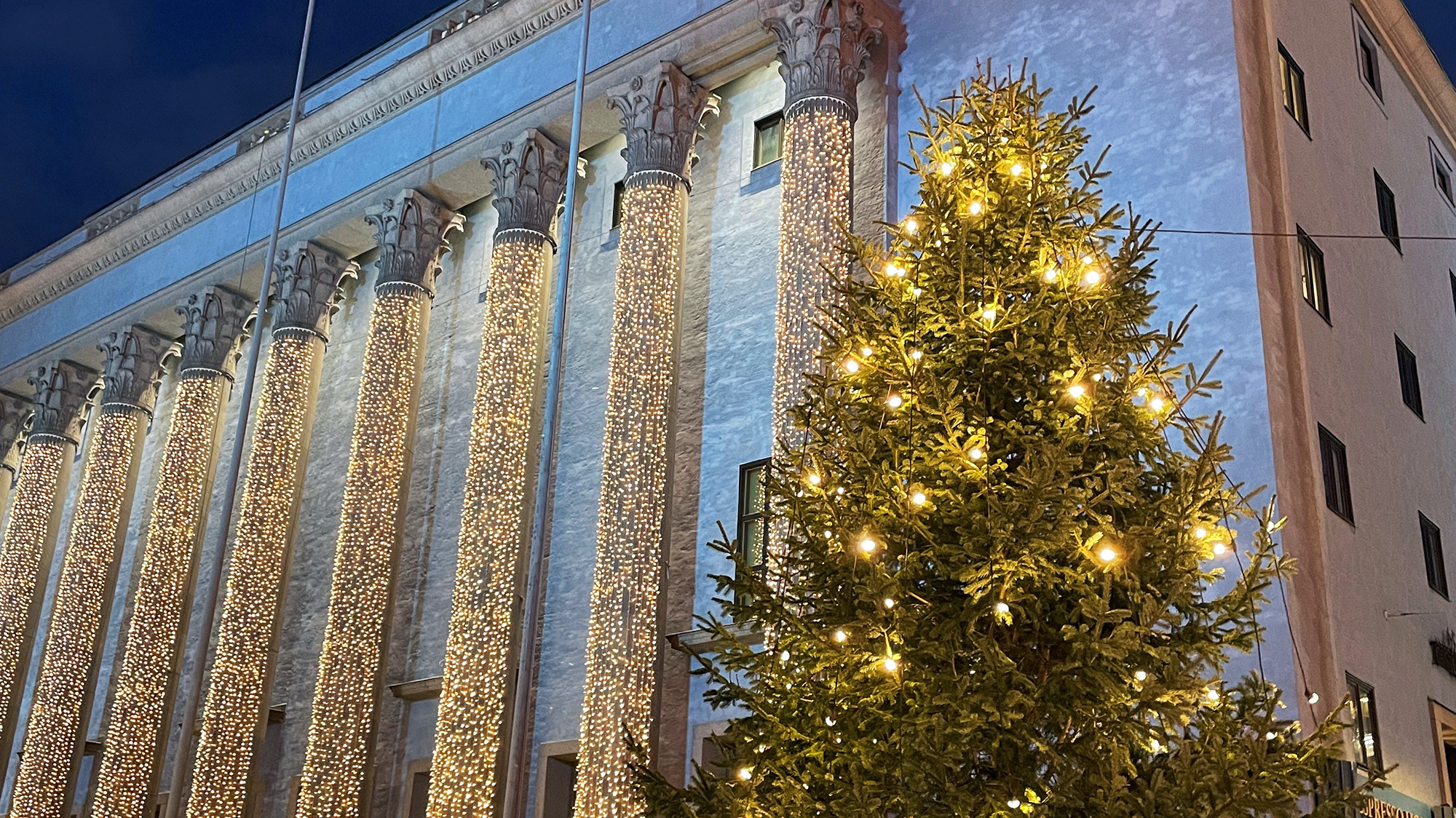 4753 H%C3%B6torget julgran 2025 2000px