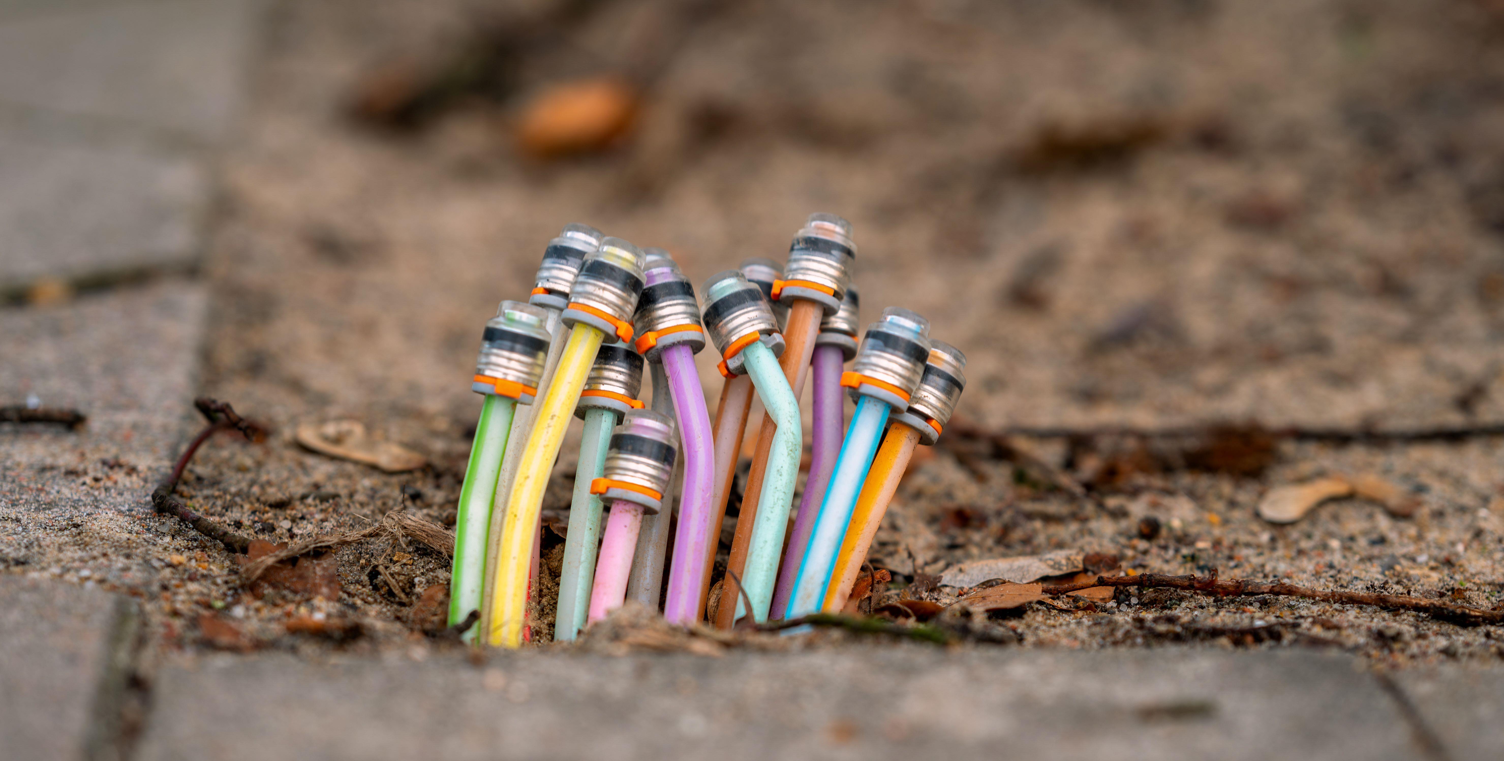 1156 AdobeStock 1183925299