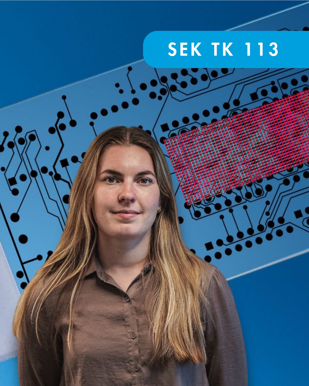 1477 Kopia av SEK TK 113