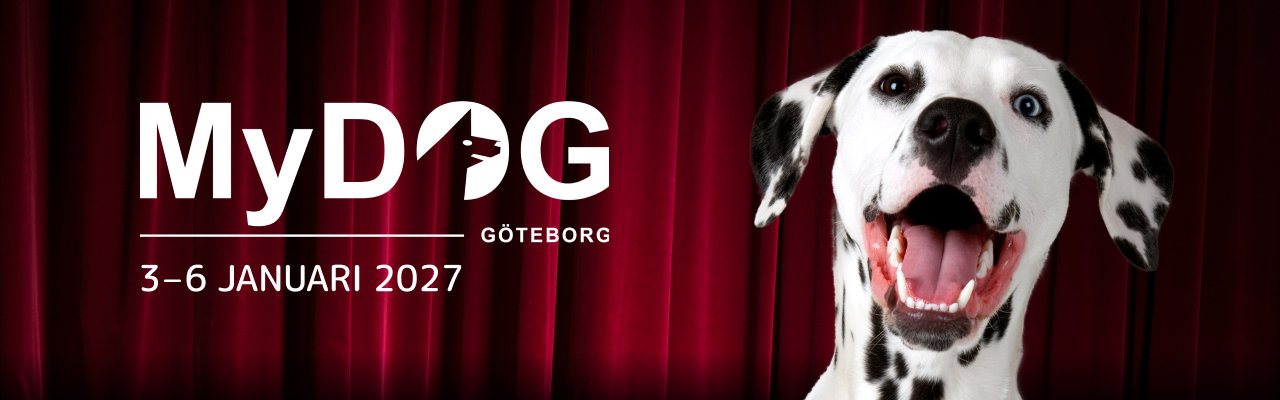 34098 MyDOG2027 NyhetsbrevSidhuvud 1280x400
