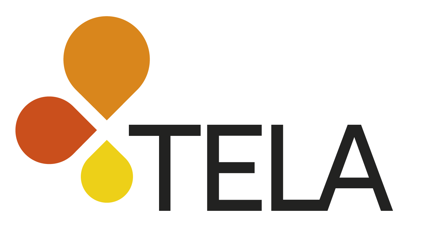 Telan logo